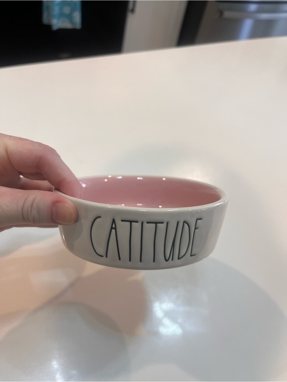 “Catitude” Rae Dunn White Ceramic Pet Bowl